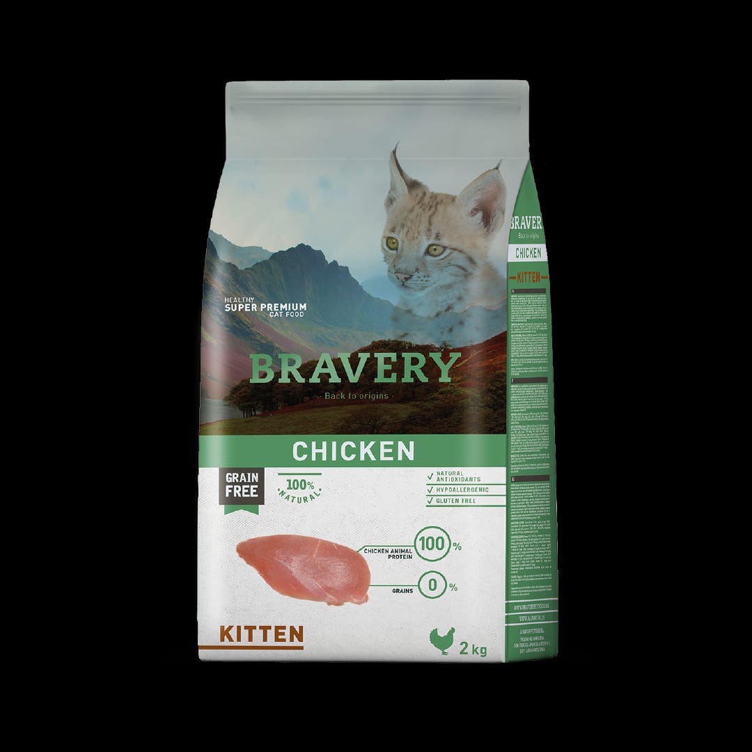 Bravery Pollo Kitten