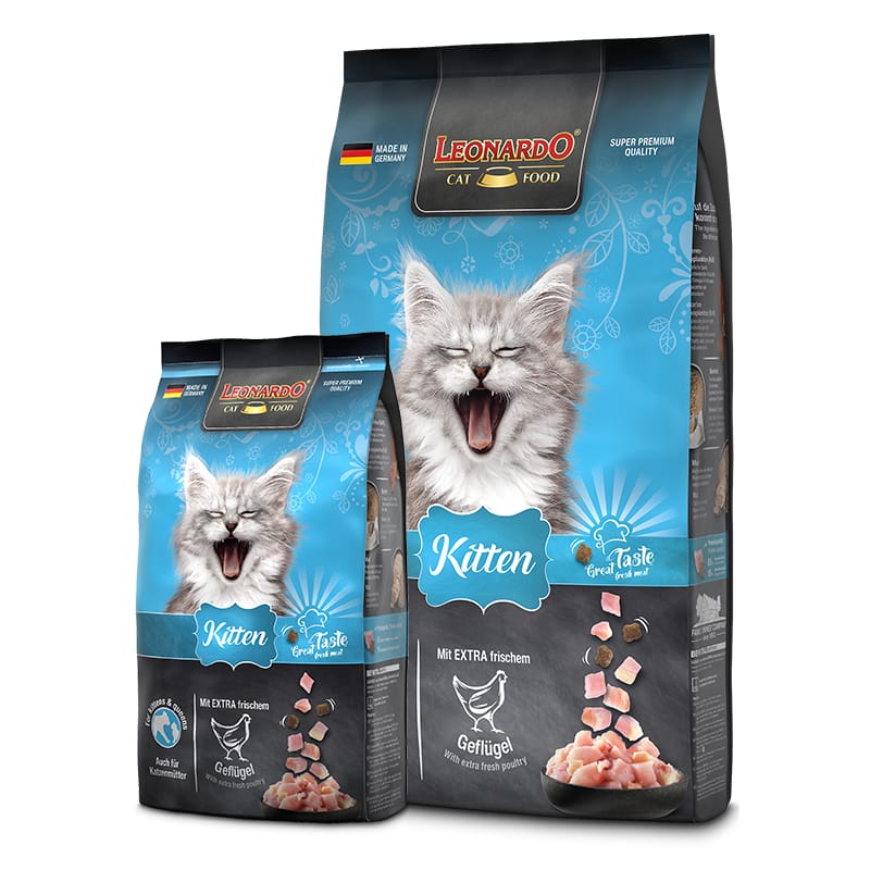 Leonardo Kitten Pollo