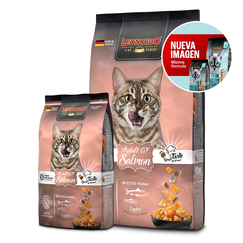 Leonardo Salmón Adulto